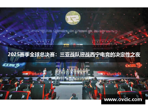 2025赛季全球总决赛：三亚战队迎战西宁电竞的决定性之夜