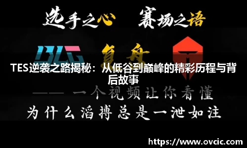 3377平台